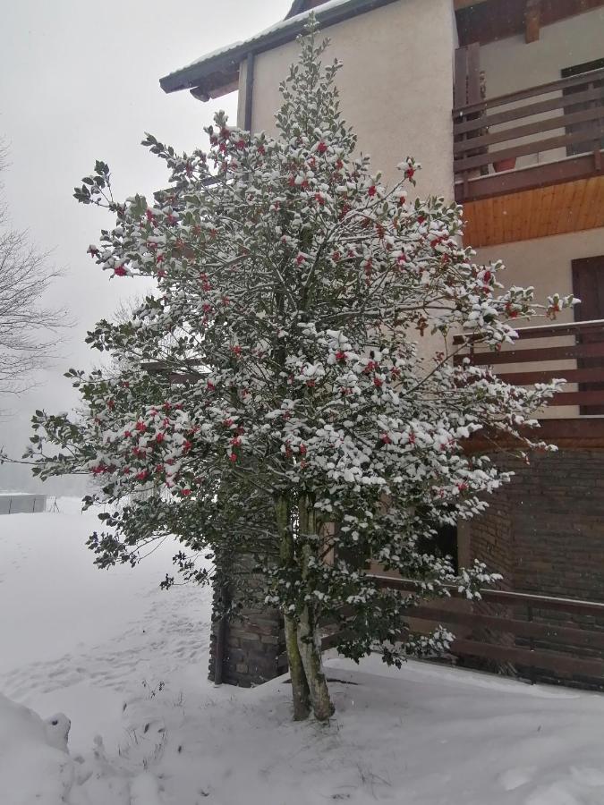 Grande Casa Di Famiglia Apartment Temù Exterior foto